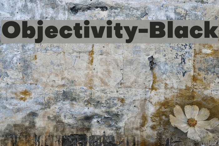Objectivity-Black Example 2