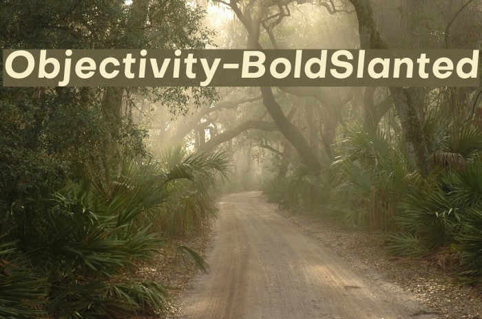 Objectivity-BoldSlanted Font examples