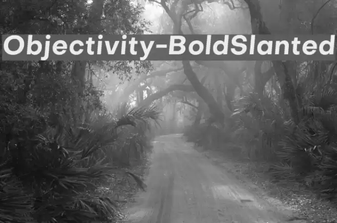 Objectivity-BoldSlanted Font examples