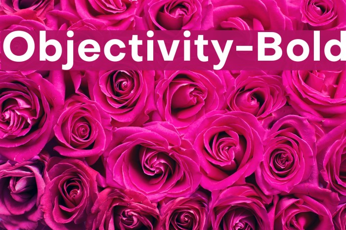 Objectivity-Bold Font examples