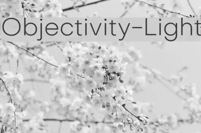 Objectivity-Light Font examples