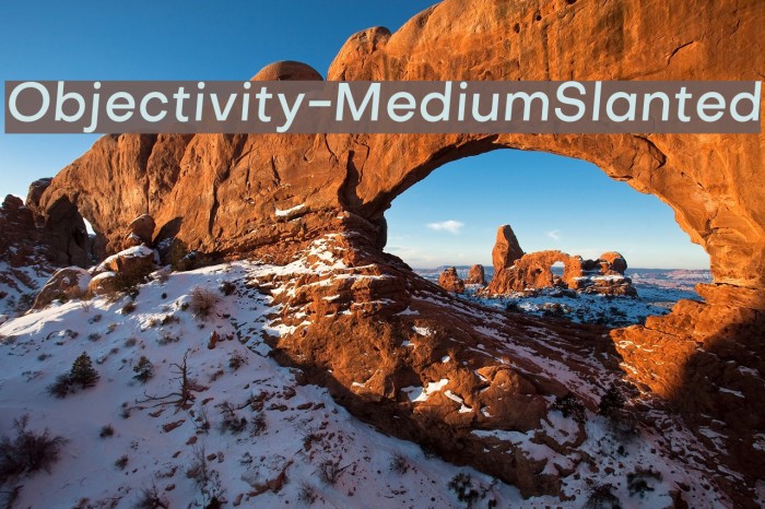 Objectivity-MediumSlanted Font examples