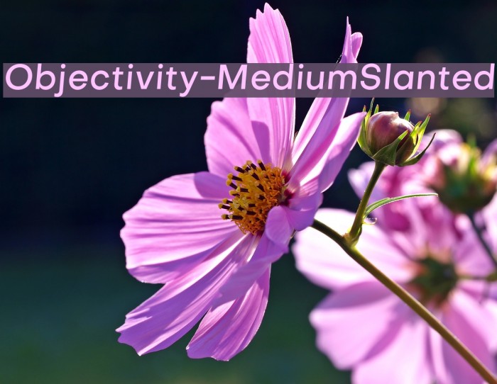 Objectivity-MediumSlanted Font examples
