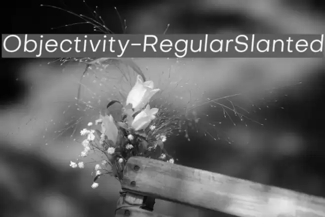 Objectivity-RegularSlanted Font examples