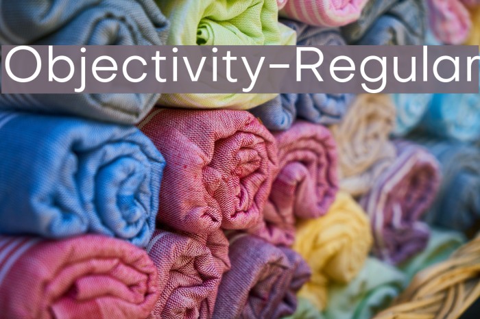 Objectivity-Regular Example 3