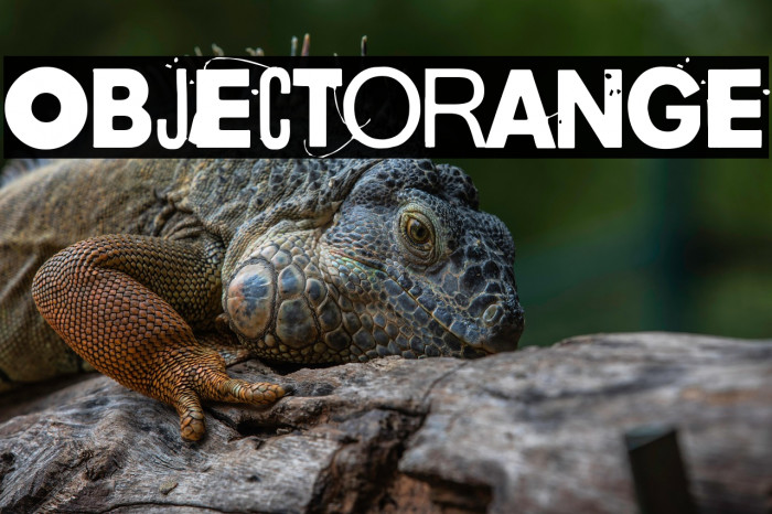 Objectorange Example 1