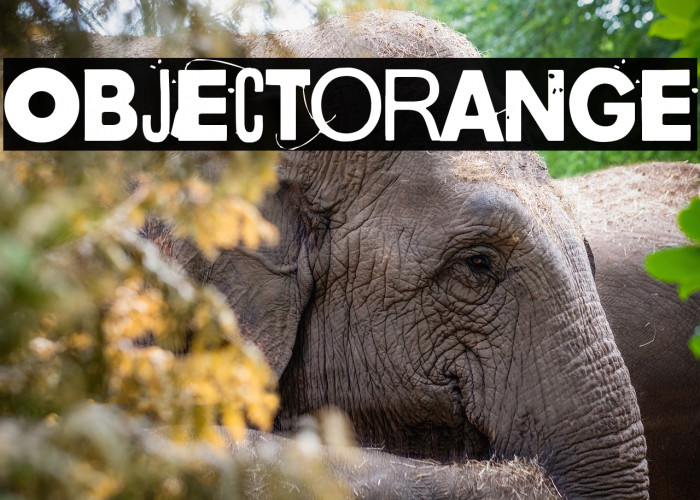 Objectorange Example 3