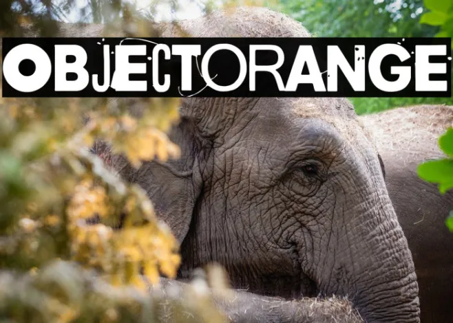 Objectorange Example 3