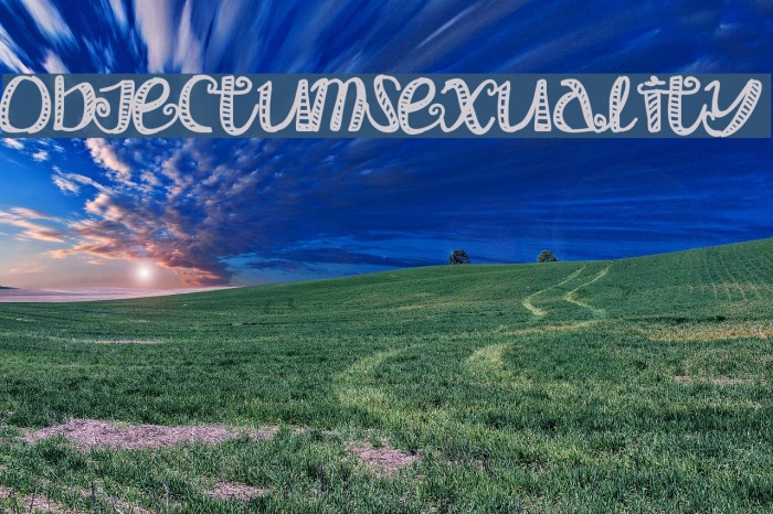 ObjectumSexuality Font examples