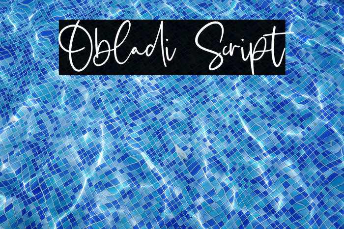 Obladi Script Example 2