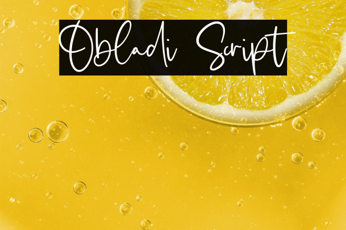 Obladi Script Example 3
