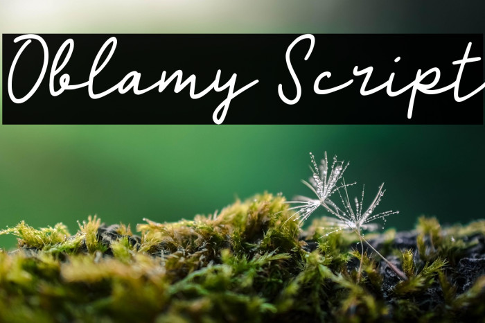 Oblamy Script Example 1