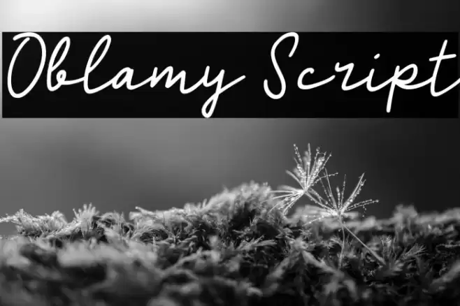 Oblamy Script Fonte examples