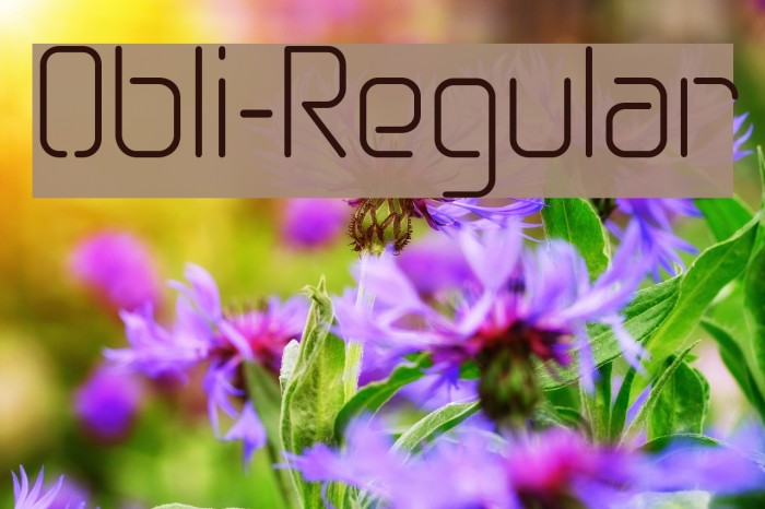 Obli-Regular Font examples
