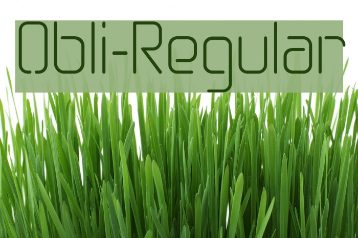 Obli-Regular Font examples