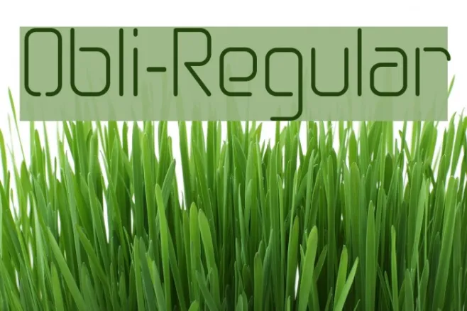 Obli-Regular Example 3