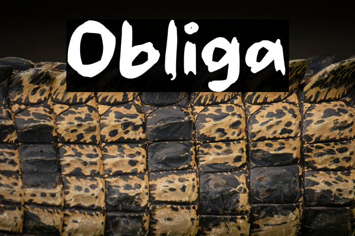 Obliga Example 1