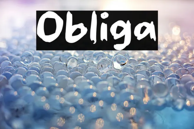 Obliga Example 3