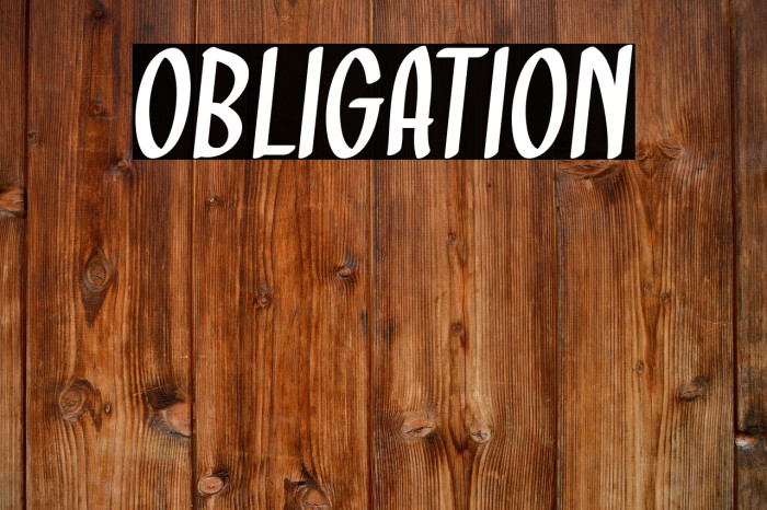 Obligation Example 3