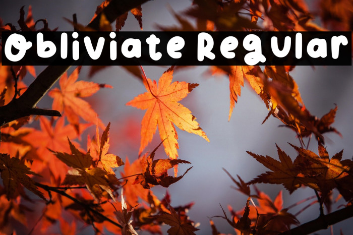 Obliviate Regular Example 1