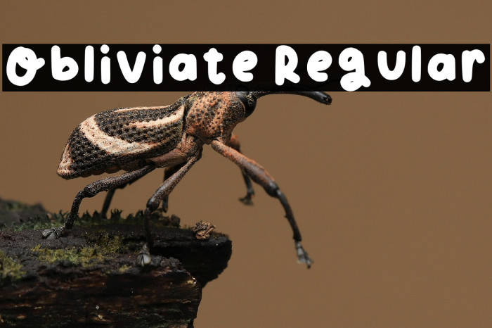 Obliviate Regular Example 2