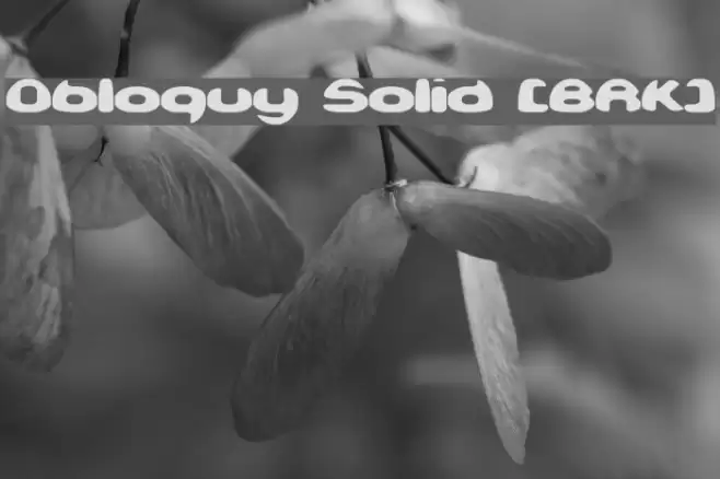 Obloquy Solid [BRK] Шрифта examples