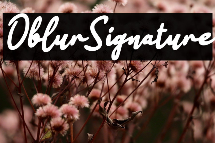 Oblur Signature Example 1