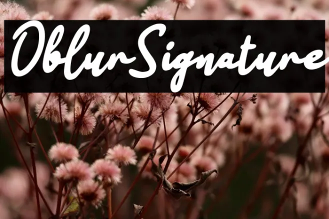Oblur Signature Example 1