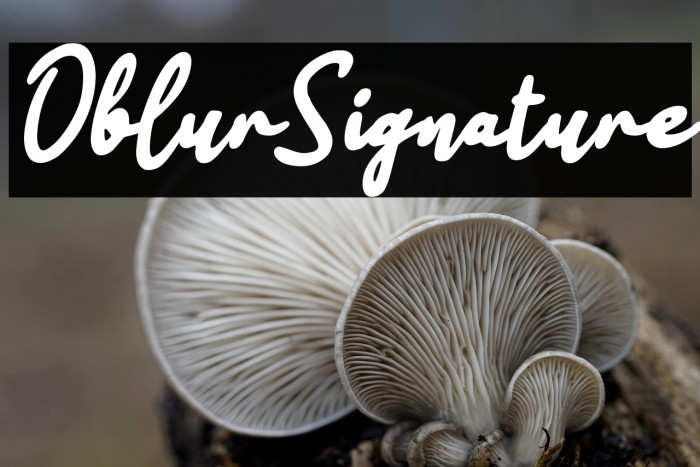 Oblur Signature Example 2