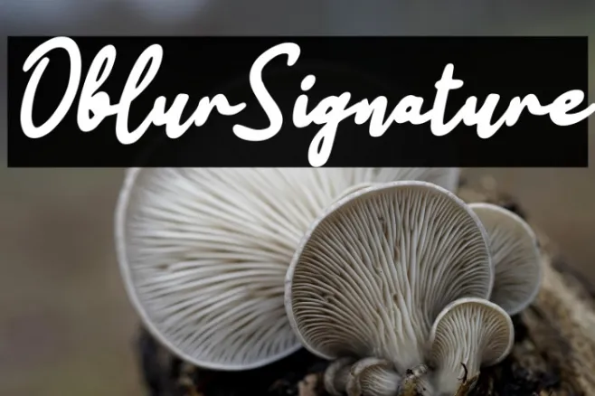 Oblur Signature Example 2