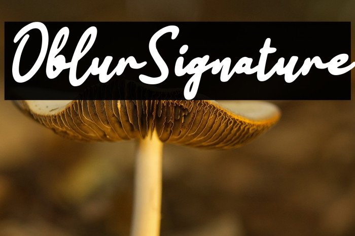 Oblur Signature Example 3