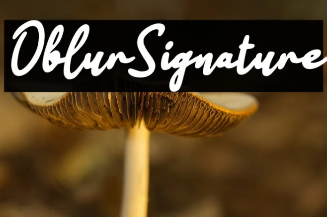 Oblur Signature Example 3