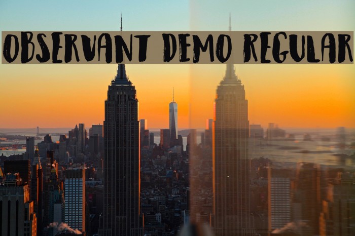 Observant DEMO Regular फ़ॉन्ट examples