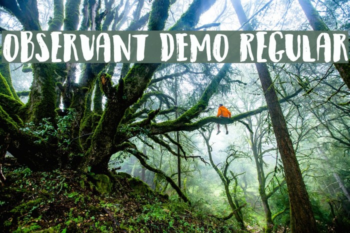 Observant DEMO Regular फ़ॉन्ट examples