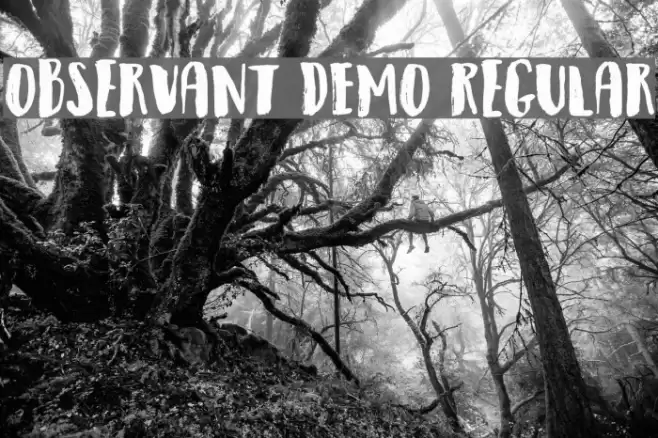 Observant DEMO Regular Font examples
