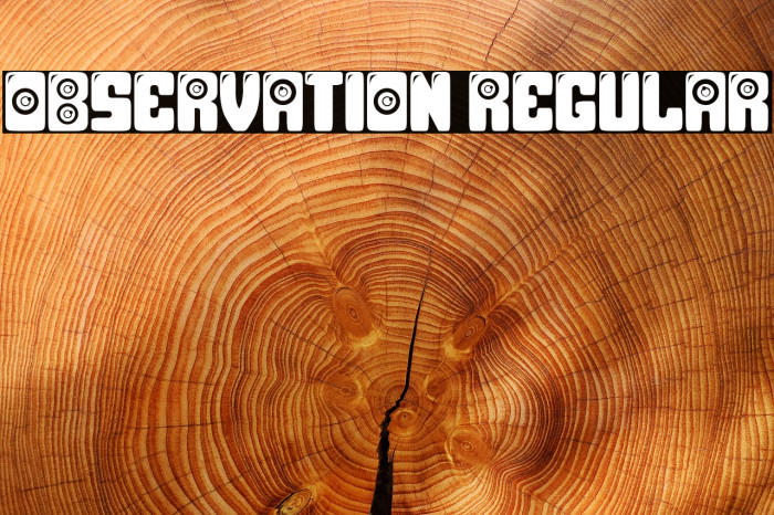 Observation Regular Font examples