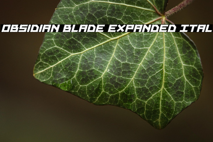 Obsidian Blade Expanded Ital Example 2