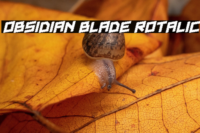 Obsidian Blade Rotalic Example 1