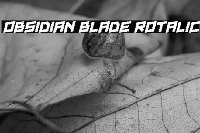 Obsidian Blade Rotalic Font examples