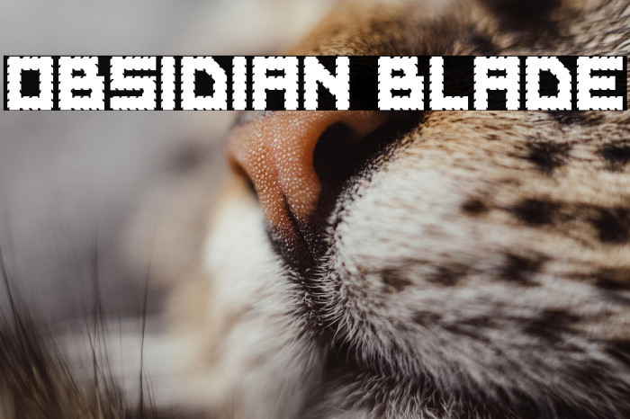 Obsidian Blade Example 2