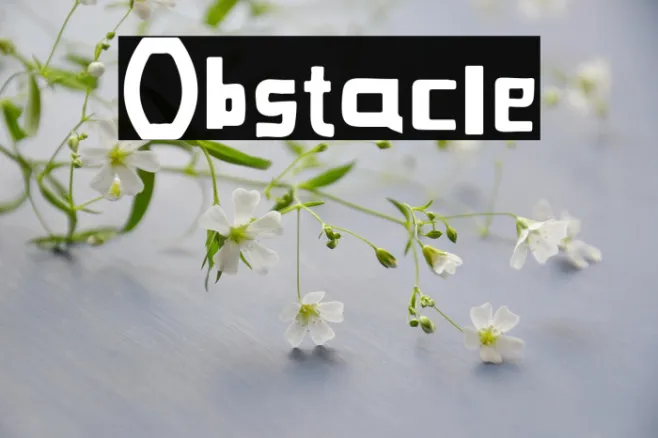 Obstacle Example 3
