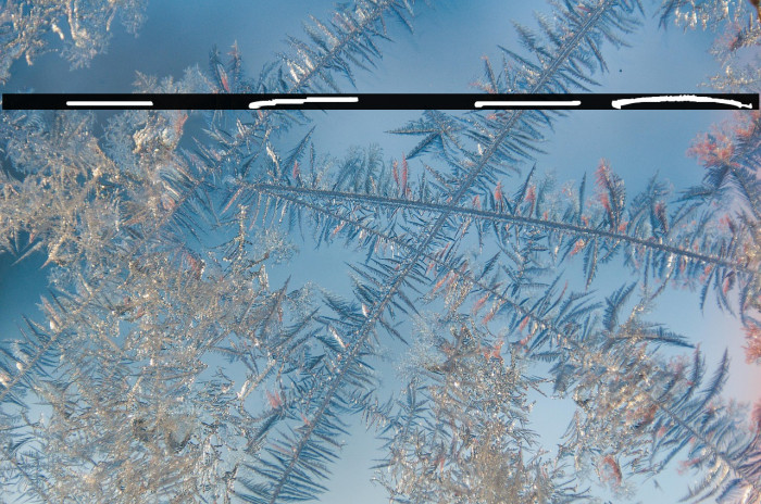 Obsurd Swash Example 3