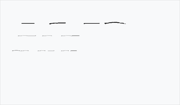 Obsurd Swash Business Card