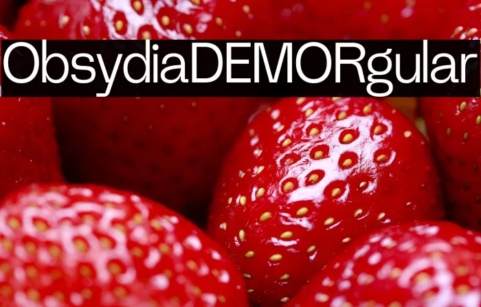 Obsydia DEMO Regular Example 1