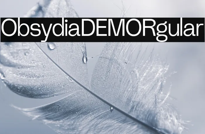 Obsydia DEMO Regular Example 3