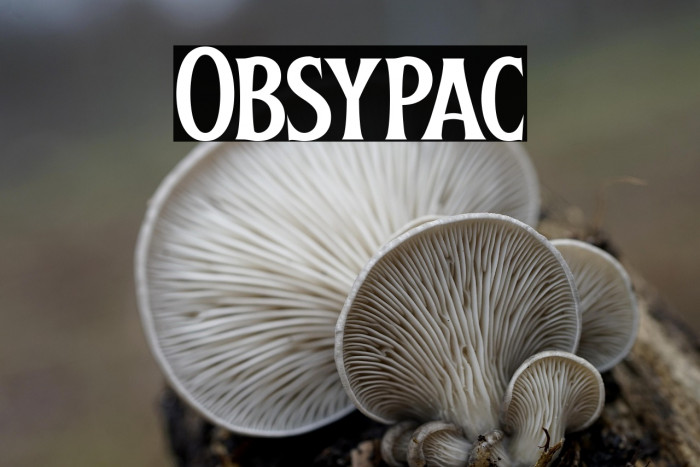 Obsypac Example 1