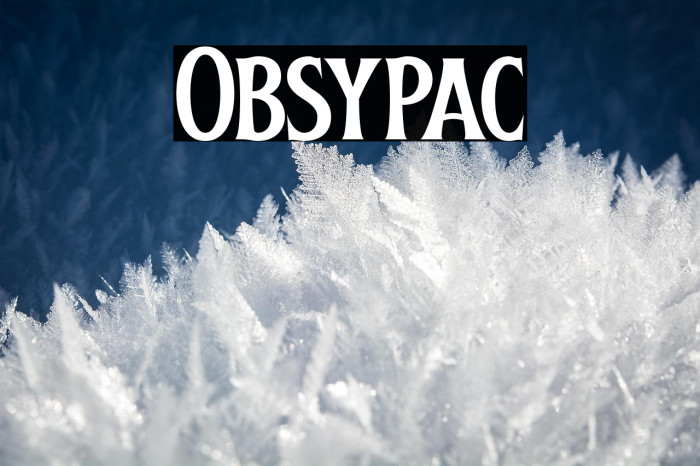 Obsypac Example 2