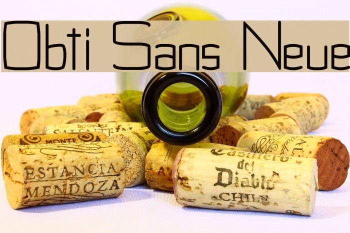 Obti Sans Neue Font examples