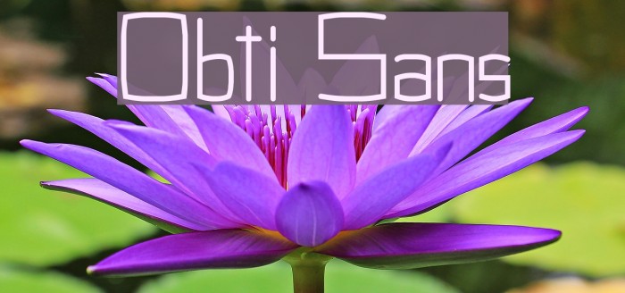 Obti Sans Font examples