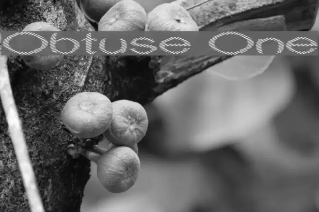 Obtuse One Font examples